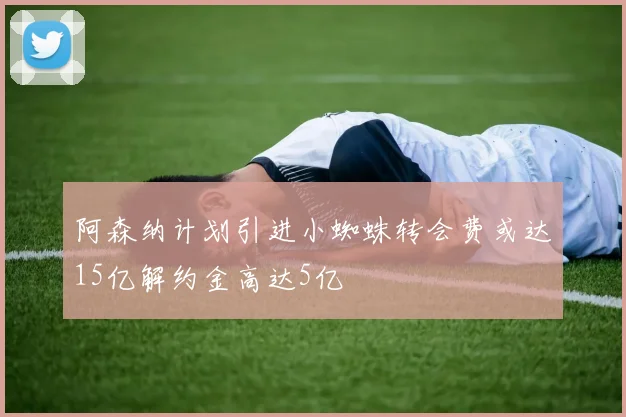 阿森纳计划引进小蜘蛛转会费或达15亿解约金高达5亿