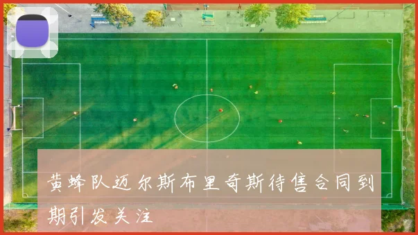 黄蜂队迈尔斯布里奇斯待售合同到期引发关注